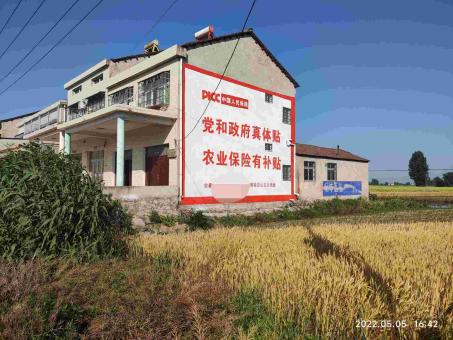 兴国墙体广告多少钱一平