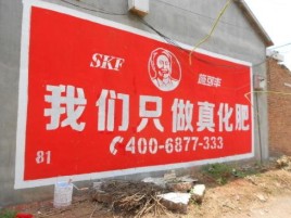 兴国刷墙广告”蕴含了时代命题