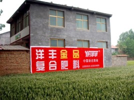 兴国如何让墙体广告展现最大化效果
