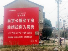兴国墙体广告在乡镇、农村市场的媒体优势