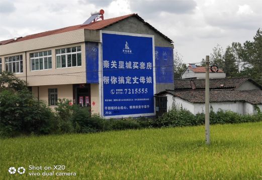 兴国决定墙体广告价格的因素有哪些?
