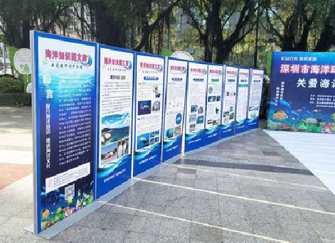 兴国KT板的种类和知识。